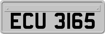 ECU3165