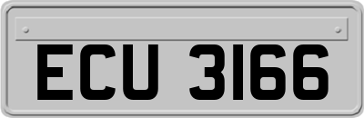 ECU3166