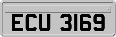 ECU3169