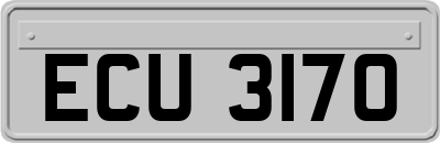 ECU3170