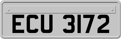ECU3172