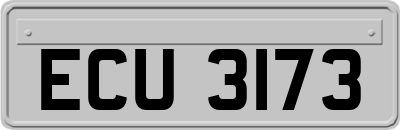 ECU3173