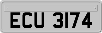 ECU3174