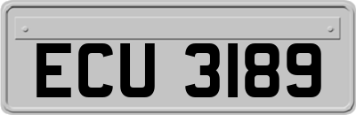 ECU3189
