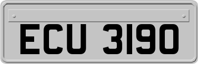 ECU3190