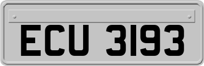 ECU3193