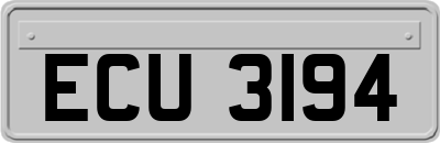 ECU3194