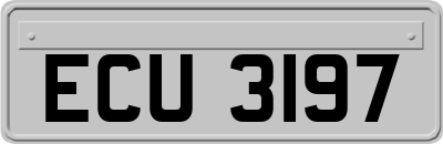 ECU3197