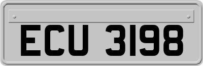 ECU3198