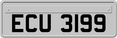 ECU3199