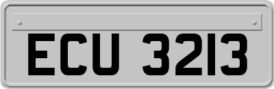 ECU3213