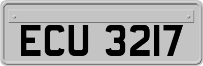 ECU3217