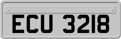 ECU3218