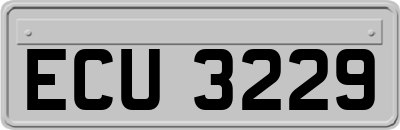 ECU3229