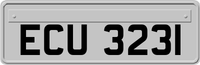 ECU3231