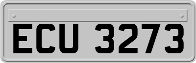 ECU3273