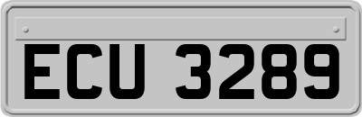ECU3289