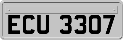 ECU3307