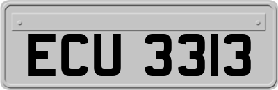 ECU3313