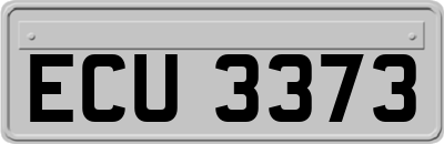 ECU3373
