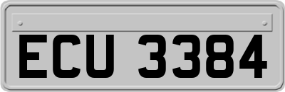 ECU3384