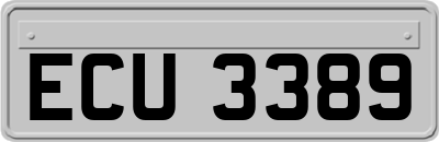 ECU3389