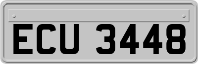 ECU3448