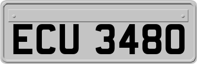 ECU3480