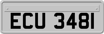 ECU3481