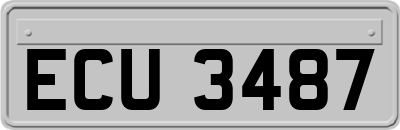 ECU3487
