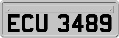 ECU3489
