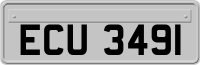 ECU3491