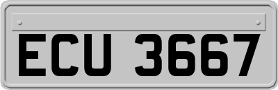 ECU3667
