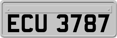 ECU3787
