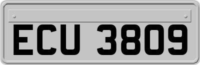 ECU3809