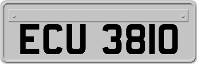 ECU3810
