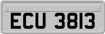 ECU3813