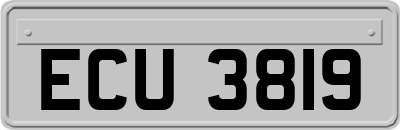 ECU3819