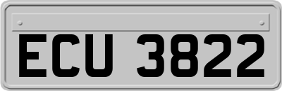 ECU3822