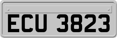 ECU3823