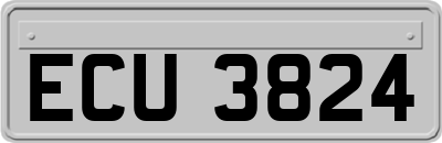 ECU3824
