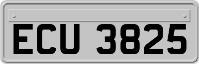 ECU3825