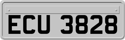 ECU3828