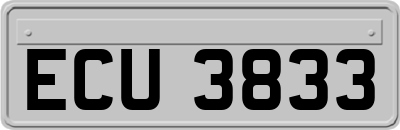 ECU3833
