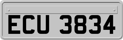 ECU3834