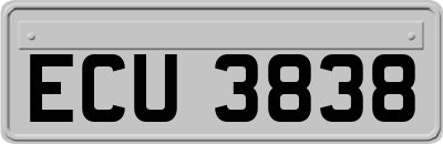 ECU3838