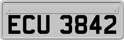ECU3842