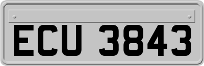 ECU3843