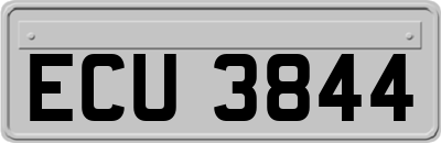 ECU3844