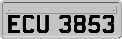 ECU3853
